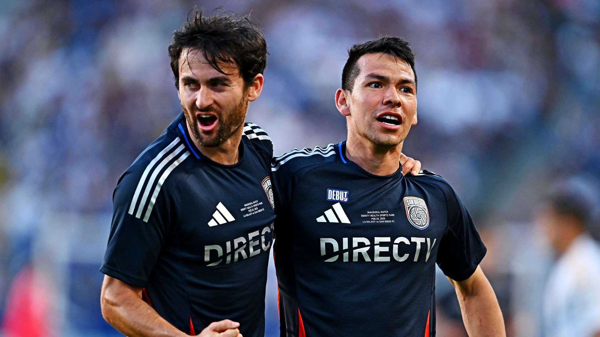 展现出极高 展现出极高