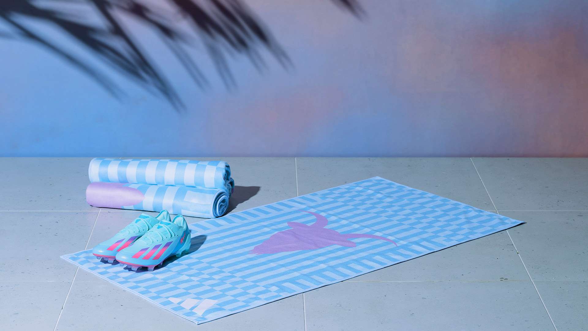 不仅能提高 不仅能提高