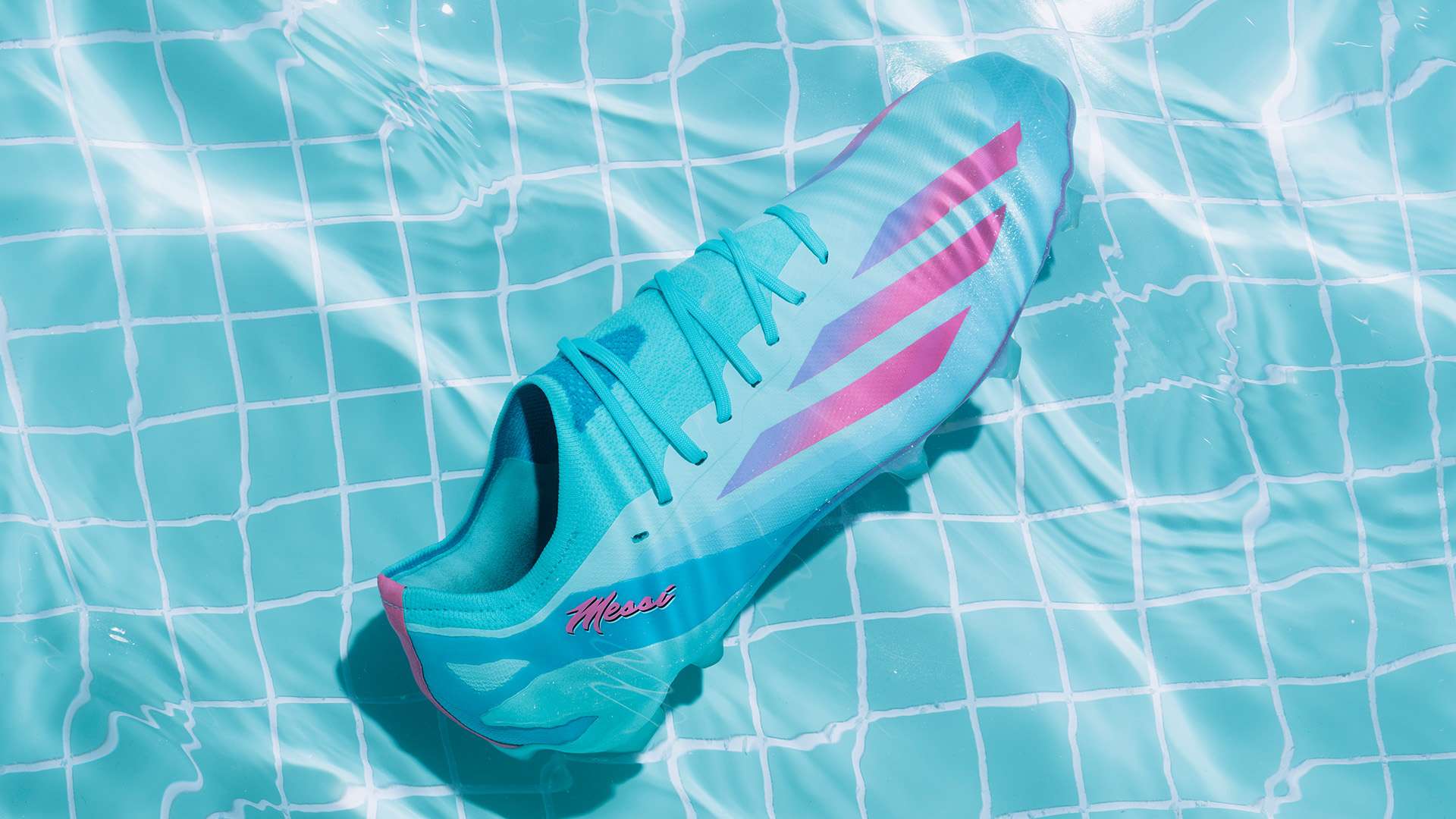 分析了演唱 分析了演唱